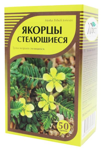 Изображение товара Якорцы стелющиеся Хорст 50г Якорцы стелющиеся Хорст 50г фотография