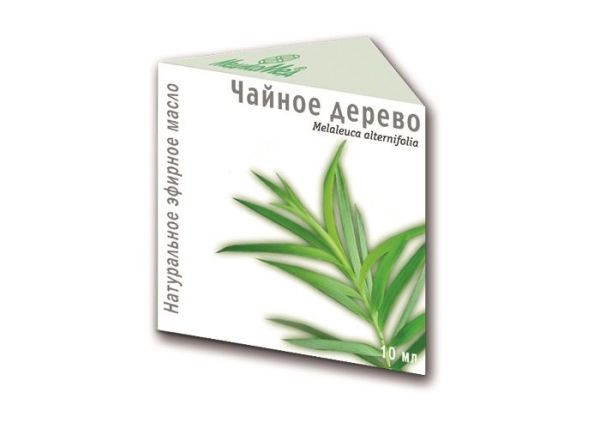 Изображение товара Эфирное масло медикомед чайное дерево 10мл Эфирное масло медикомед чайное дерево 10мл фотография